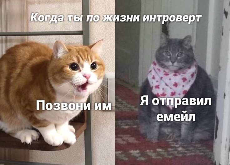 Весëлые картинки