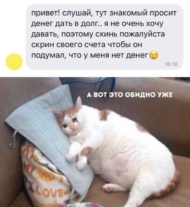 Скрины из соцсетей