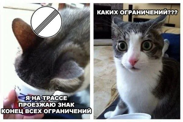 Скрины из соцсетей