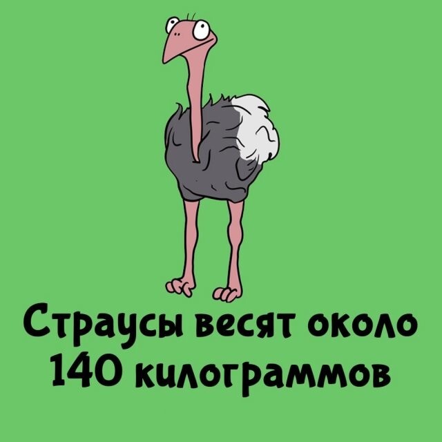А вдруг ты не знал…