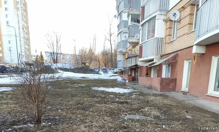 Весна, время подснежников