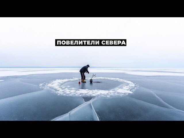 Повелители Севера: самые опасные профессии Арктики и их реальные зарплаты⁠⁠ 