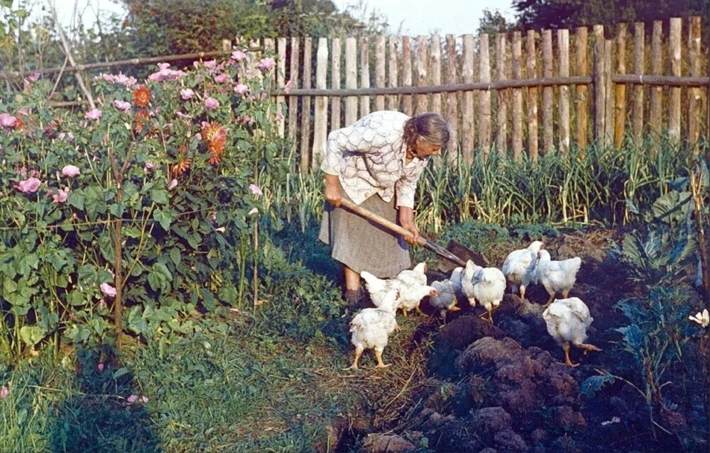 Интересные фотографии времен СССР
