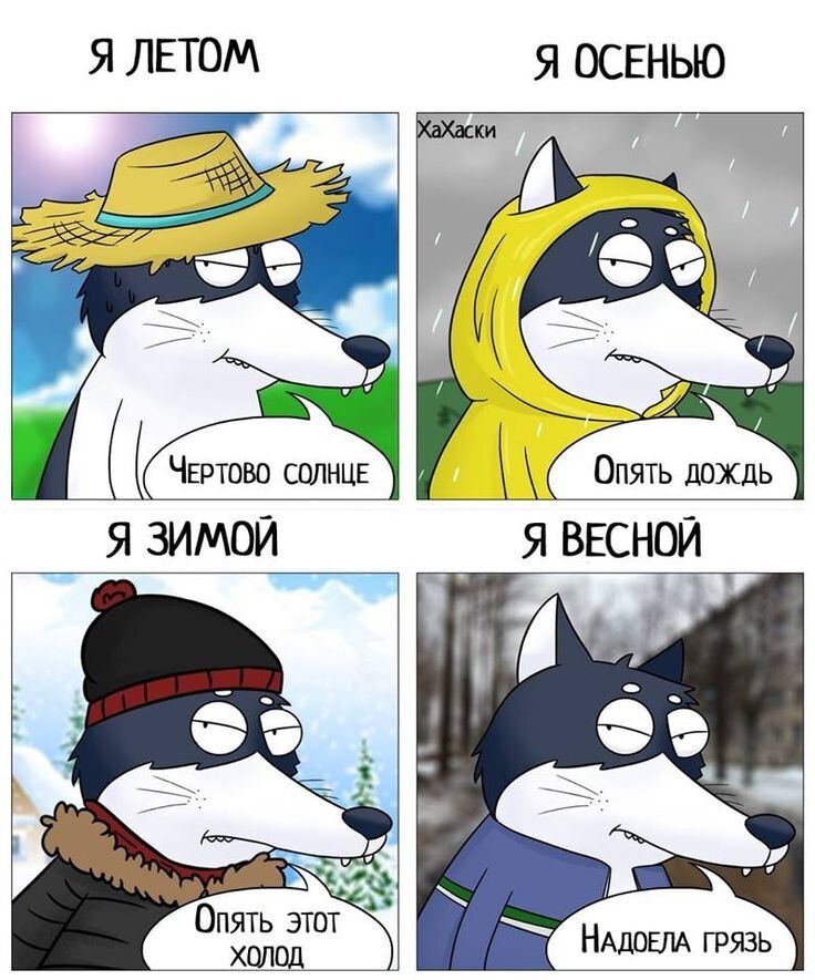 Весëлые картинки