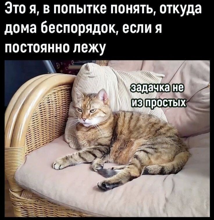Весëлые картинки
