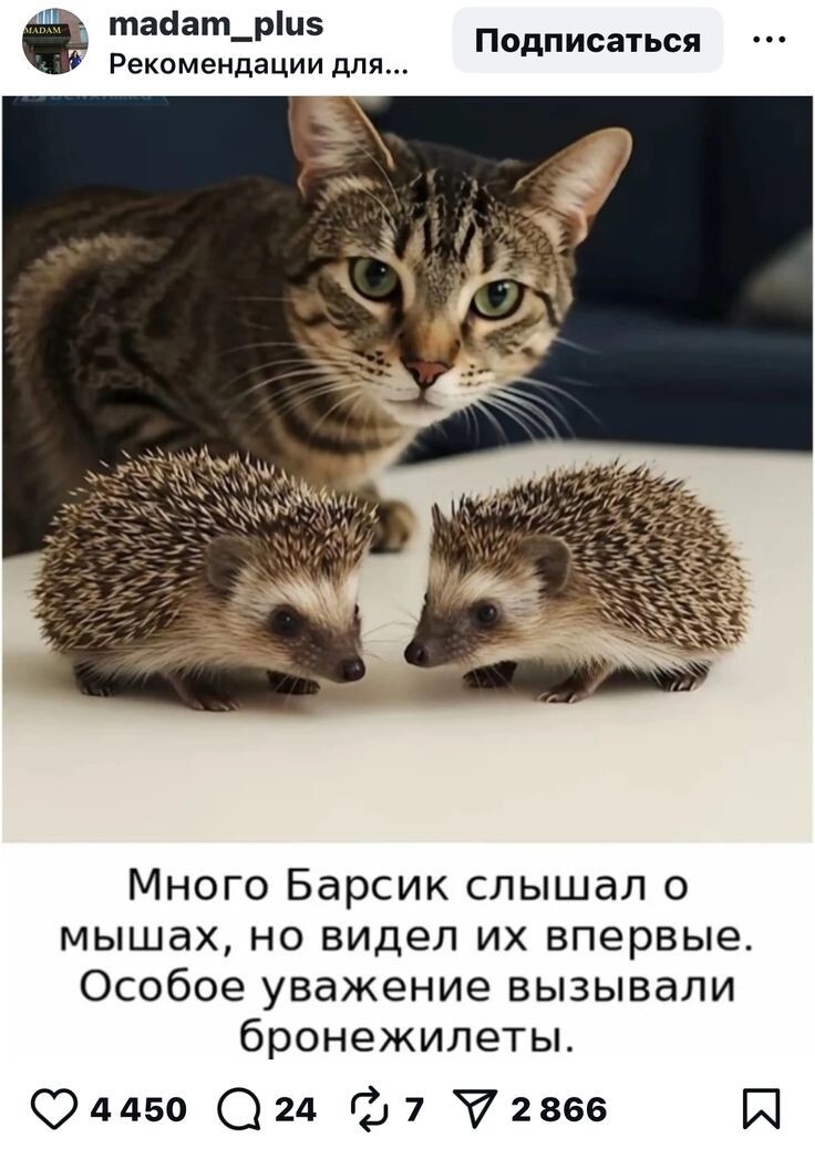 Весëлые картинки