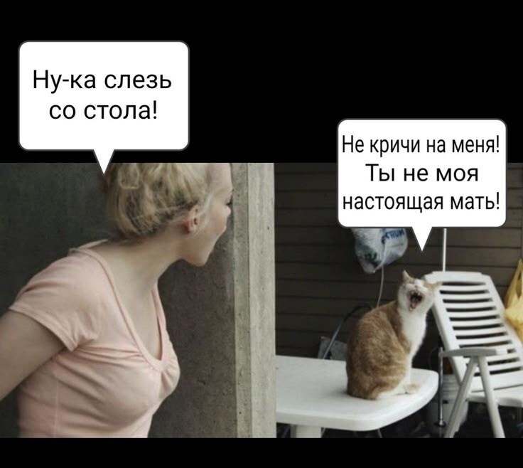 Весëлые картинки