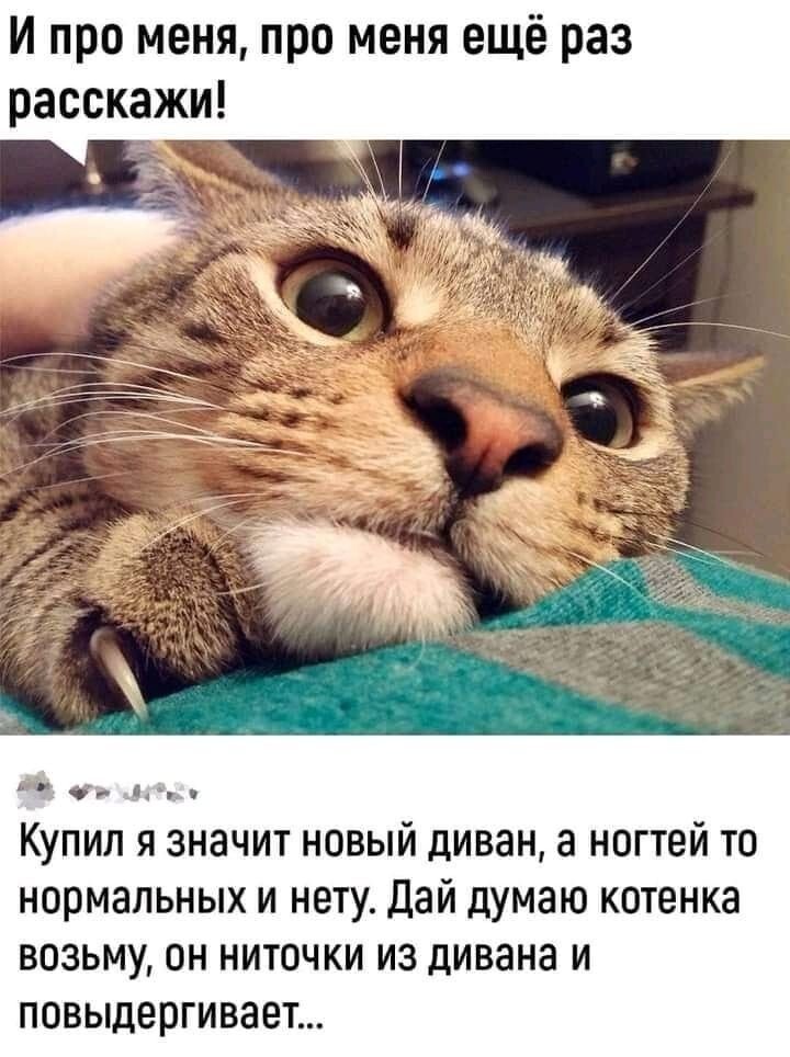 Весëлые картинки