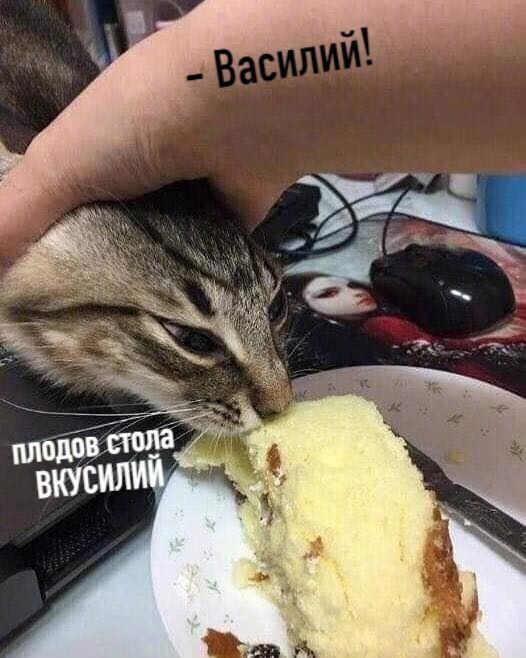 Весëлые картинки