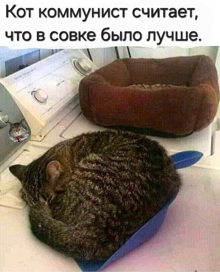 Весëлые картинки