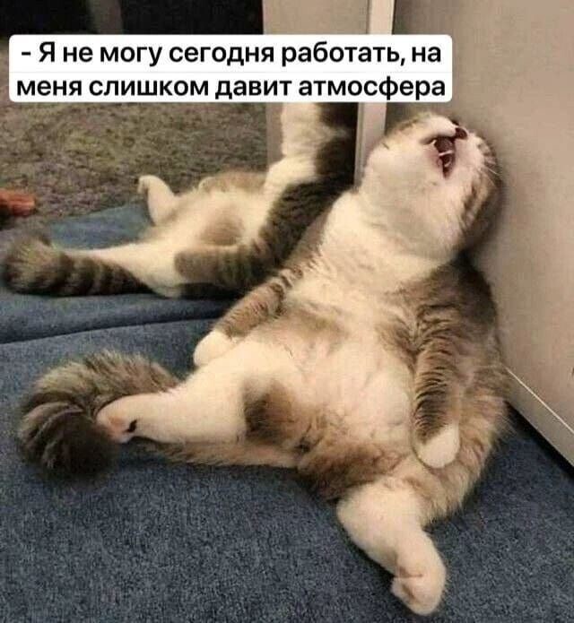 Весëлые картинки