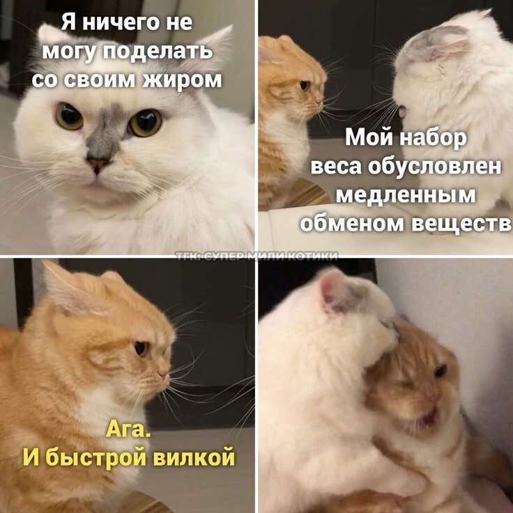 Весëлые картинки