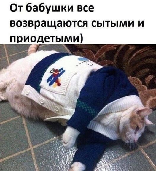 Весëлые картинки
