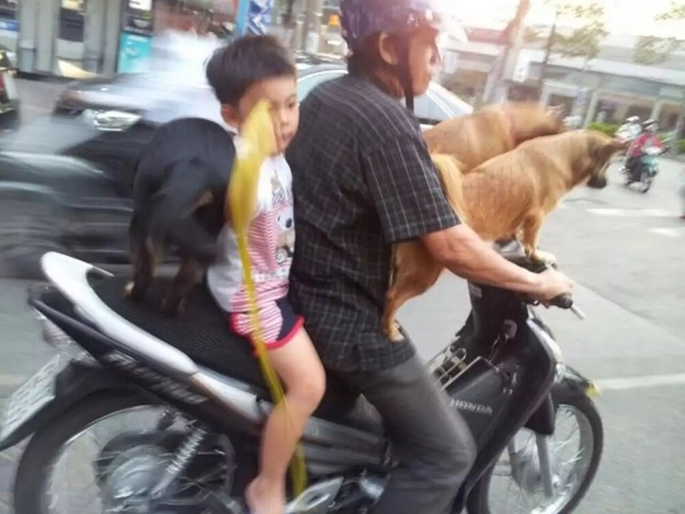 На общую тему&nbsp;