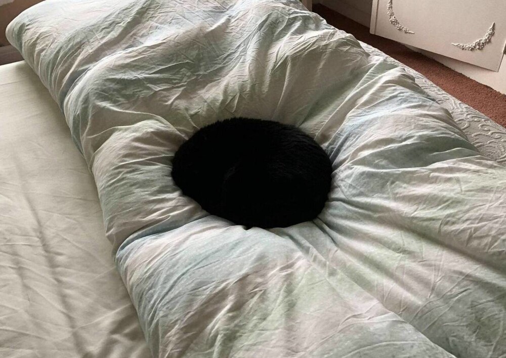 На общую тему&nbsp;