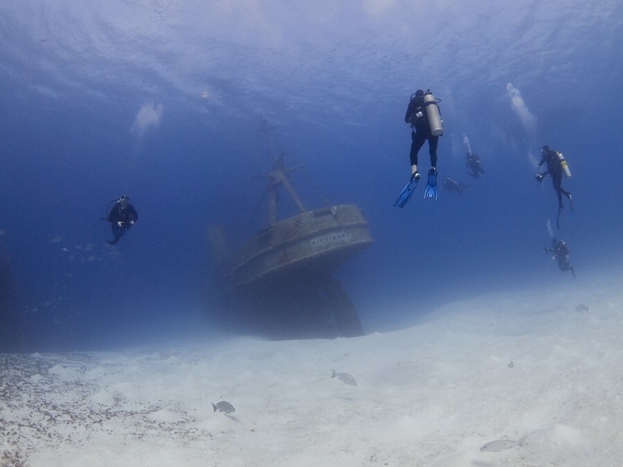 Эллен Кайлаертс