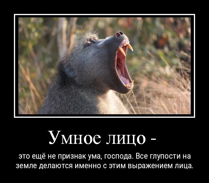 Демотиваторы заряженные позитивом
