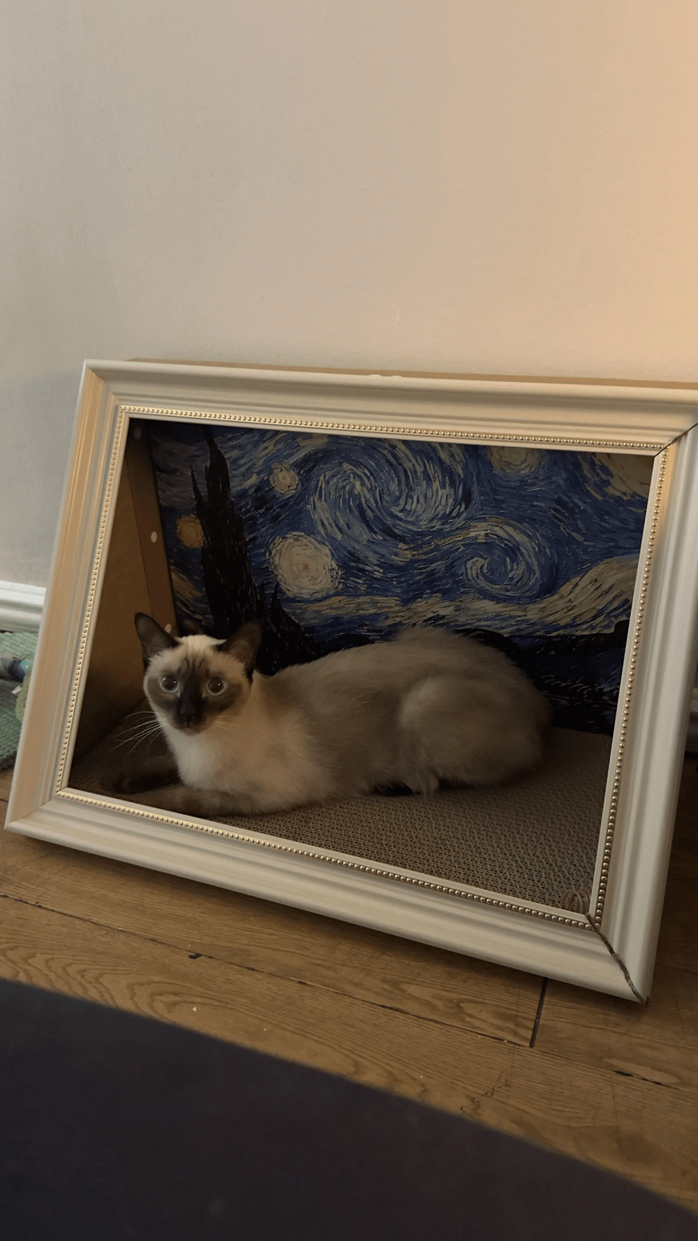 19. Котоискусство как отдельное направление