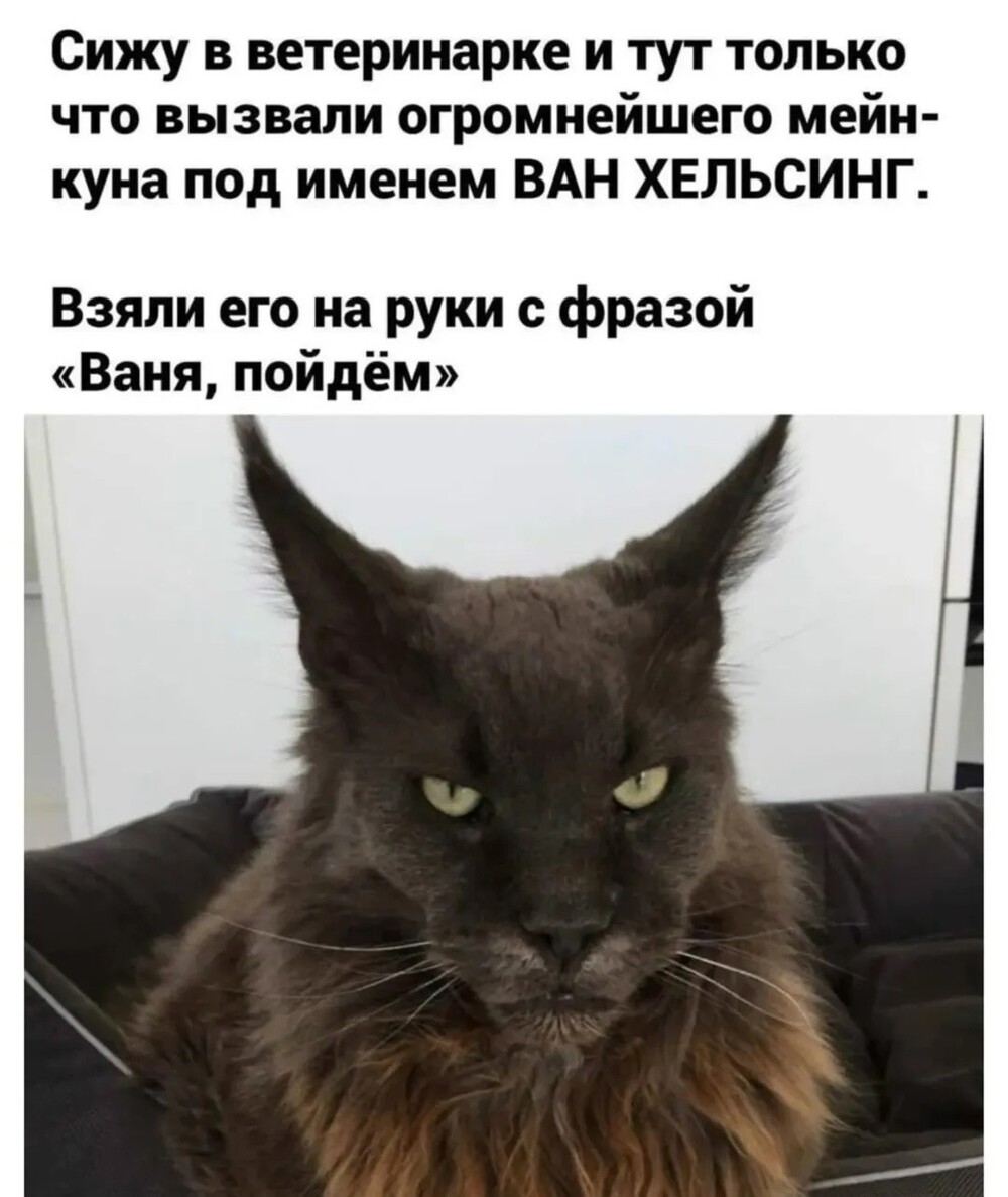 Большая тарелка улыбатора