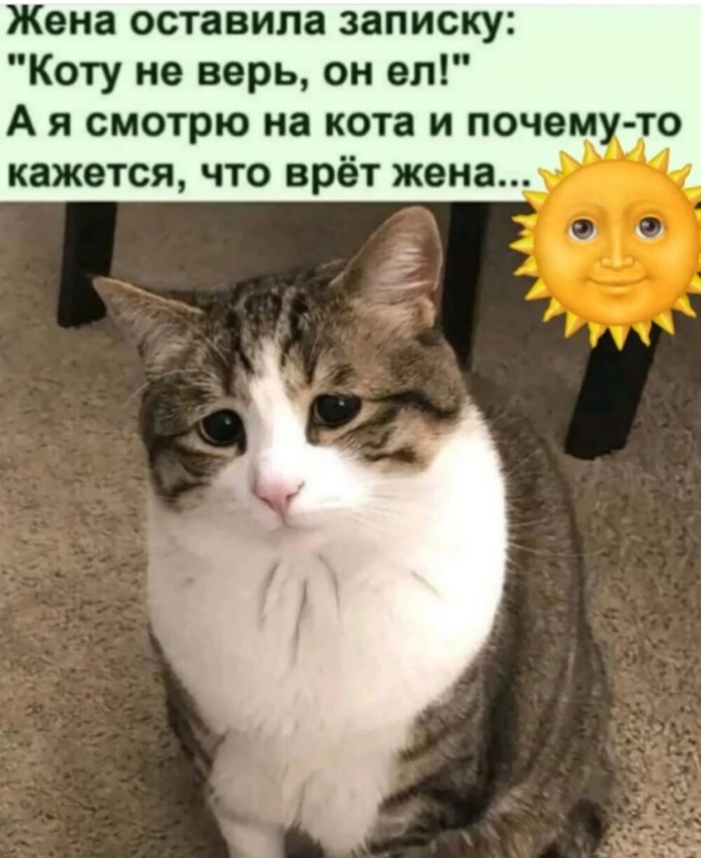 Большая тарелка улыбатора