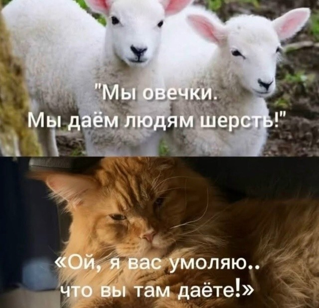 Большая тарелка улыбатора