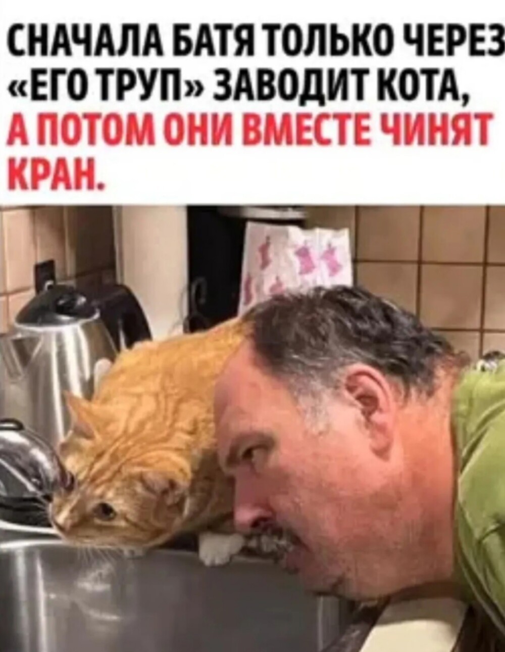 Большая тарелка улыбатора