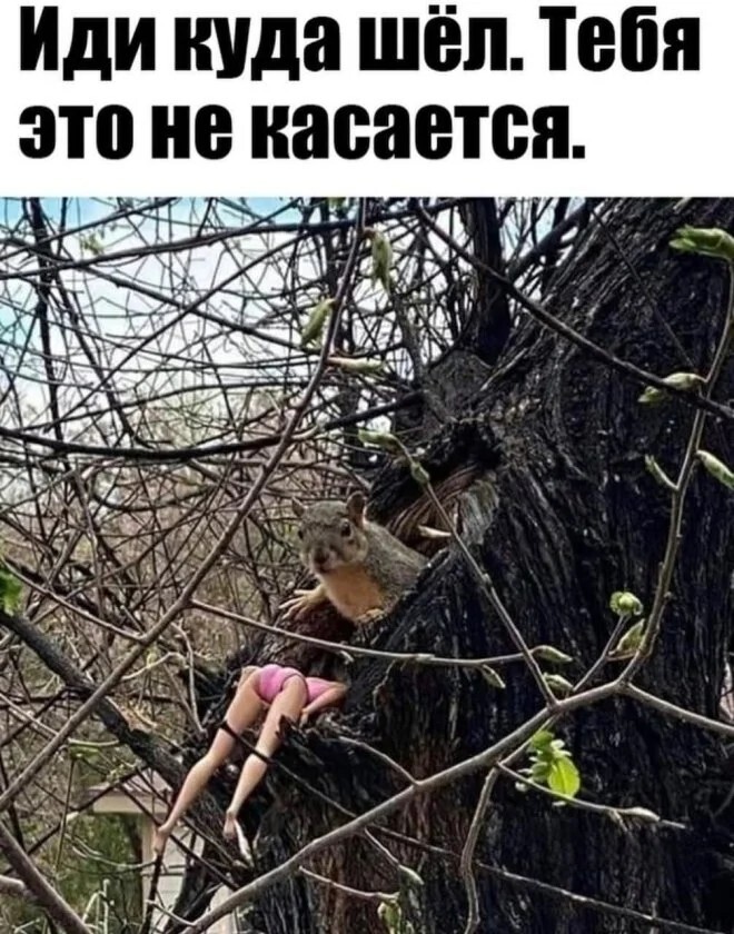 Большая тарелка улыбатора
