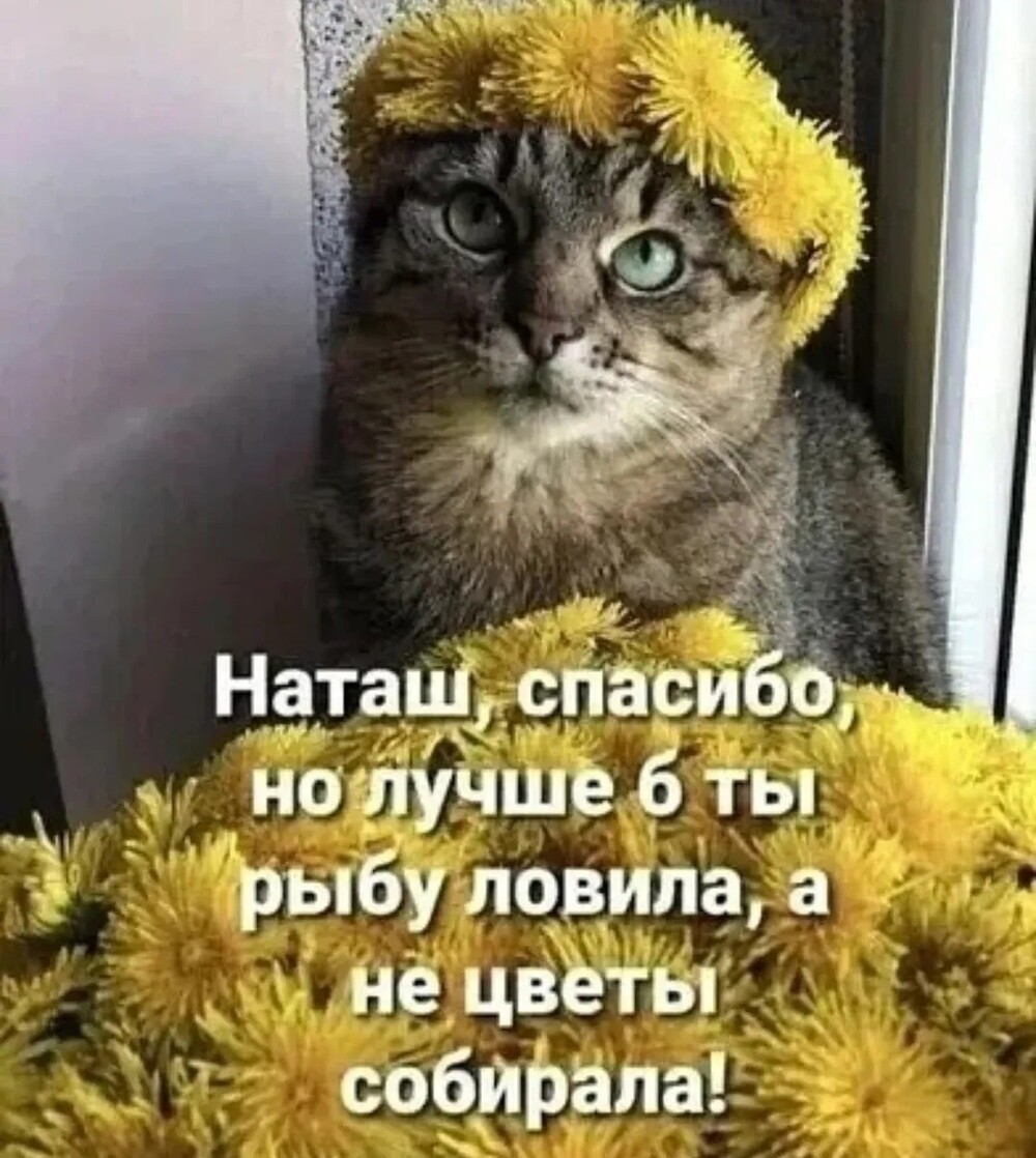 Большая тарелка улыбатора