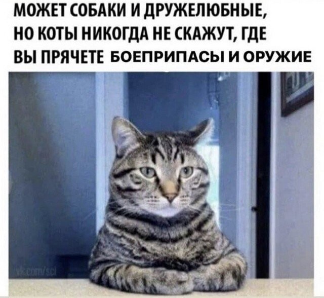 Смешные картинки