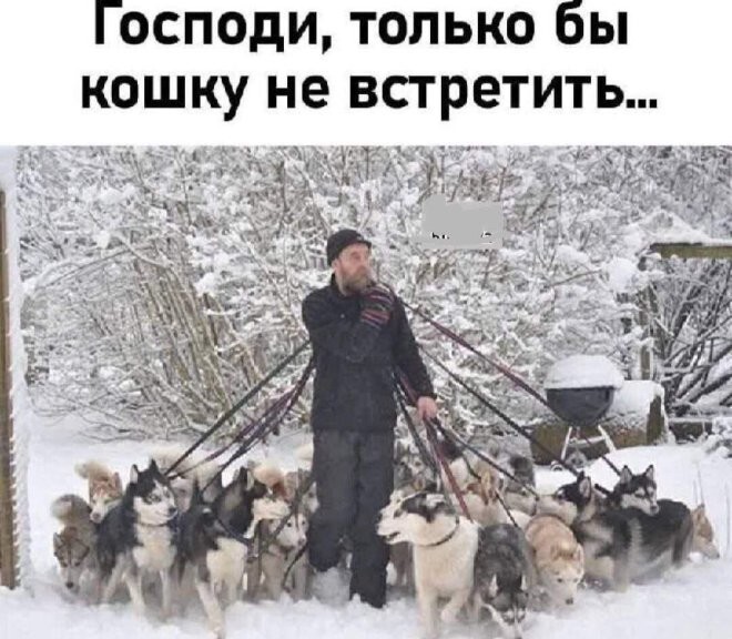 Смешные картинки