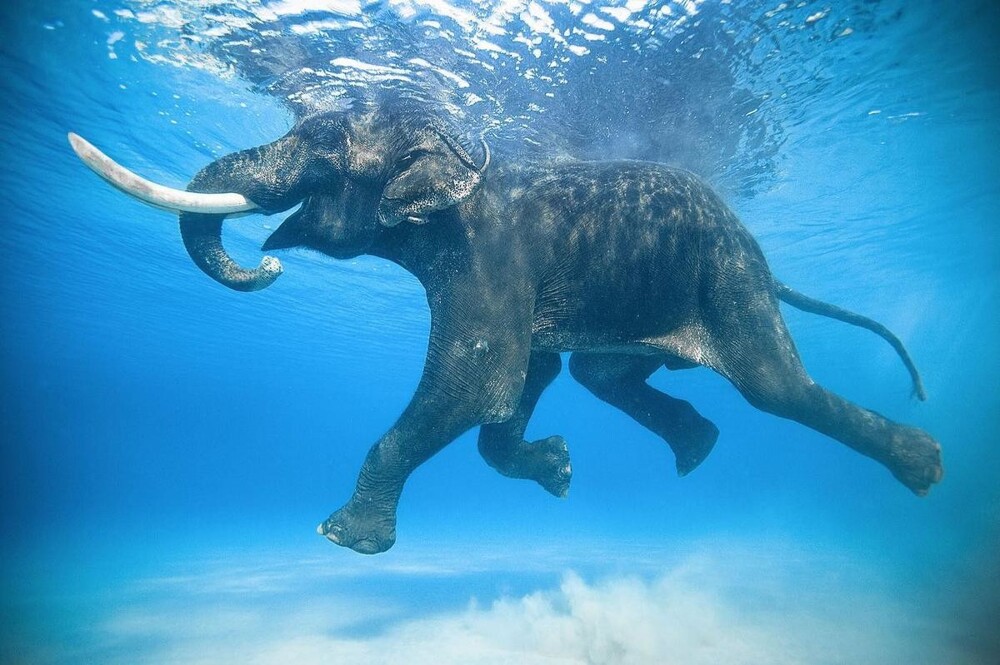 Замечательные фотографии из путешествий Джоди Макдональд