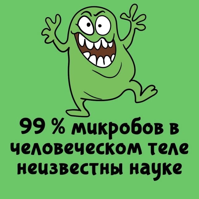А вдруг ты не знал…