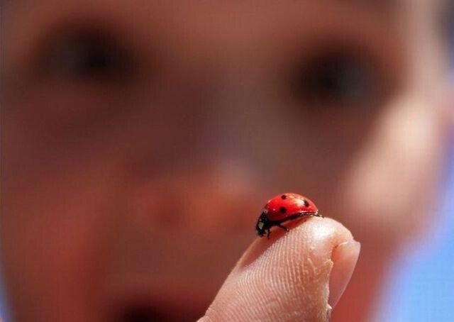 Намешалось