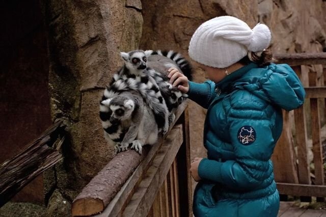 Намешалось