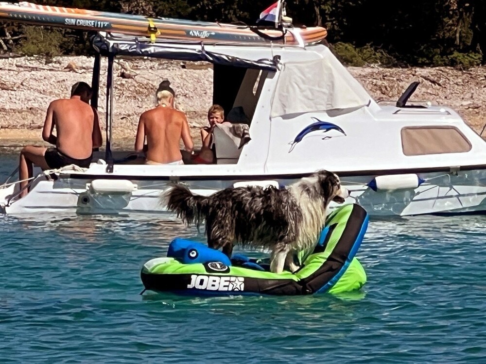 На общую тему&nbsp;