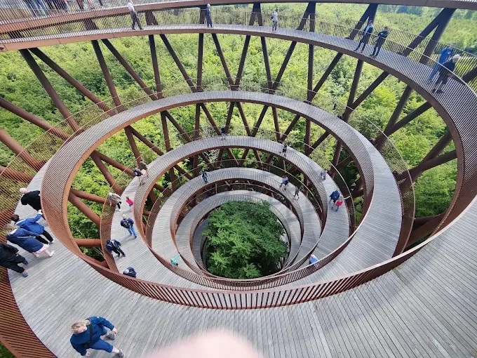 Вид с вершины на лес