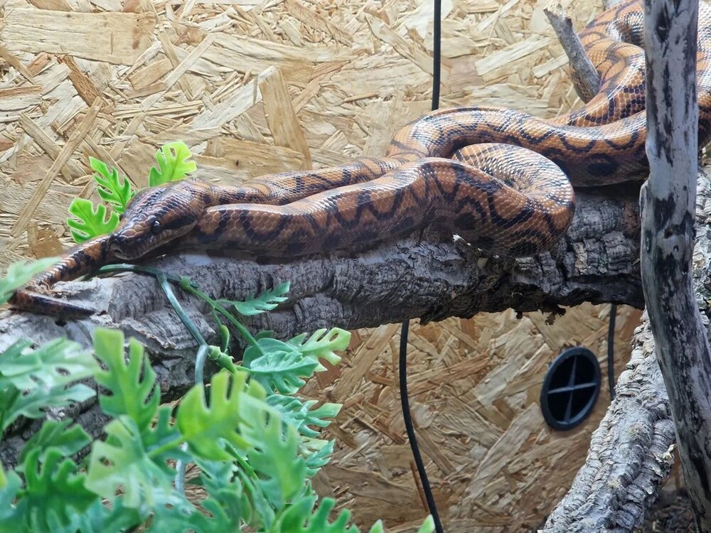 На общую тему&nbsp;