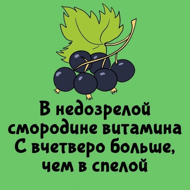 А вдруг ты не знал…