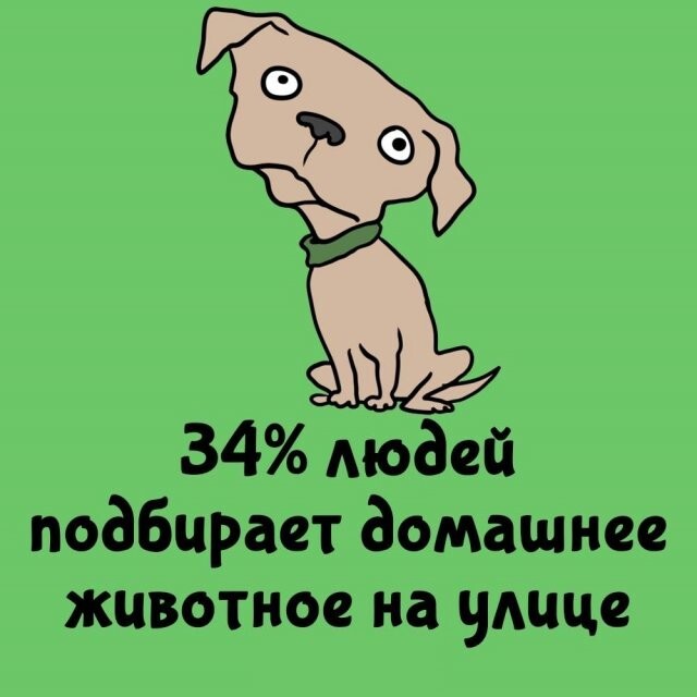 А вдруг ты не знал…