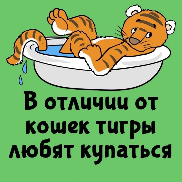 А вдруг ты не знал…