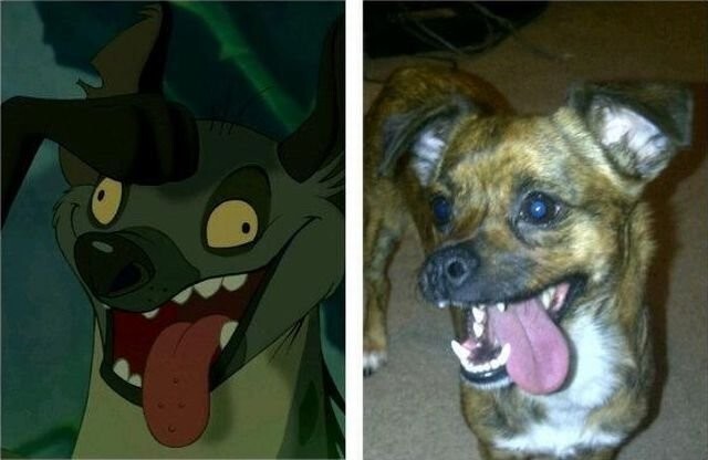 Намешалось&nbsp;