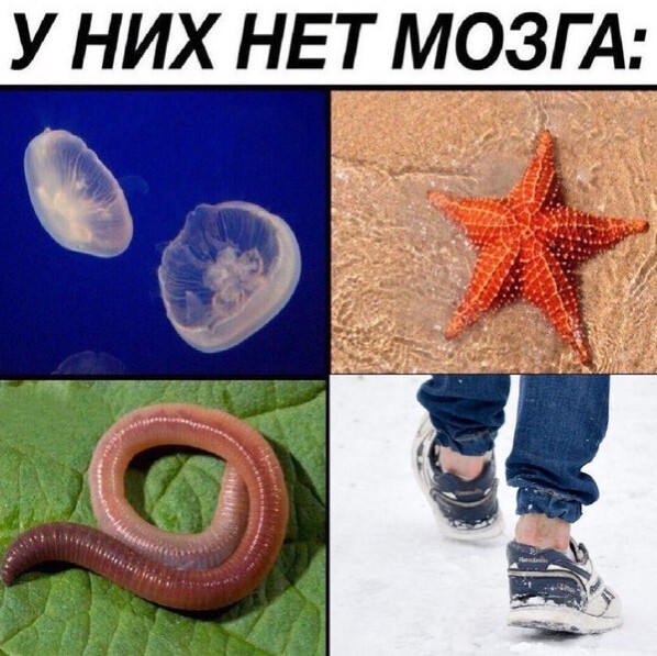 Всё вразнобой&nbsp;