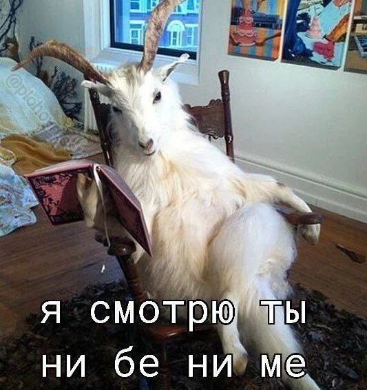Всё вразнобой&nbsp;