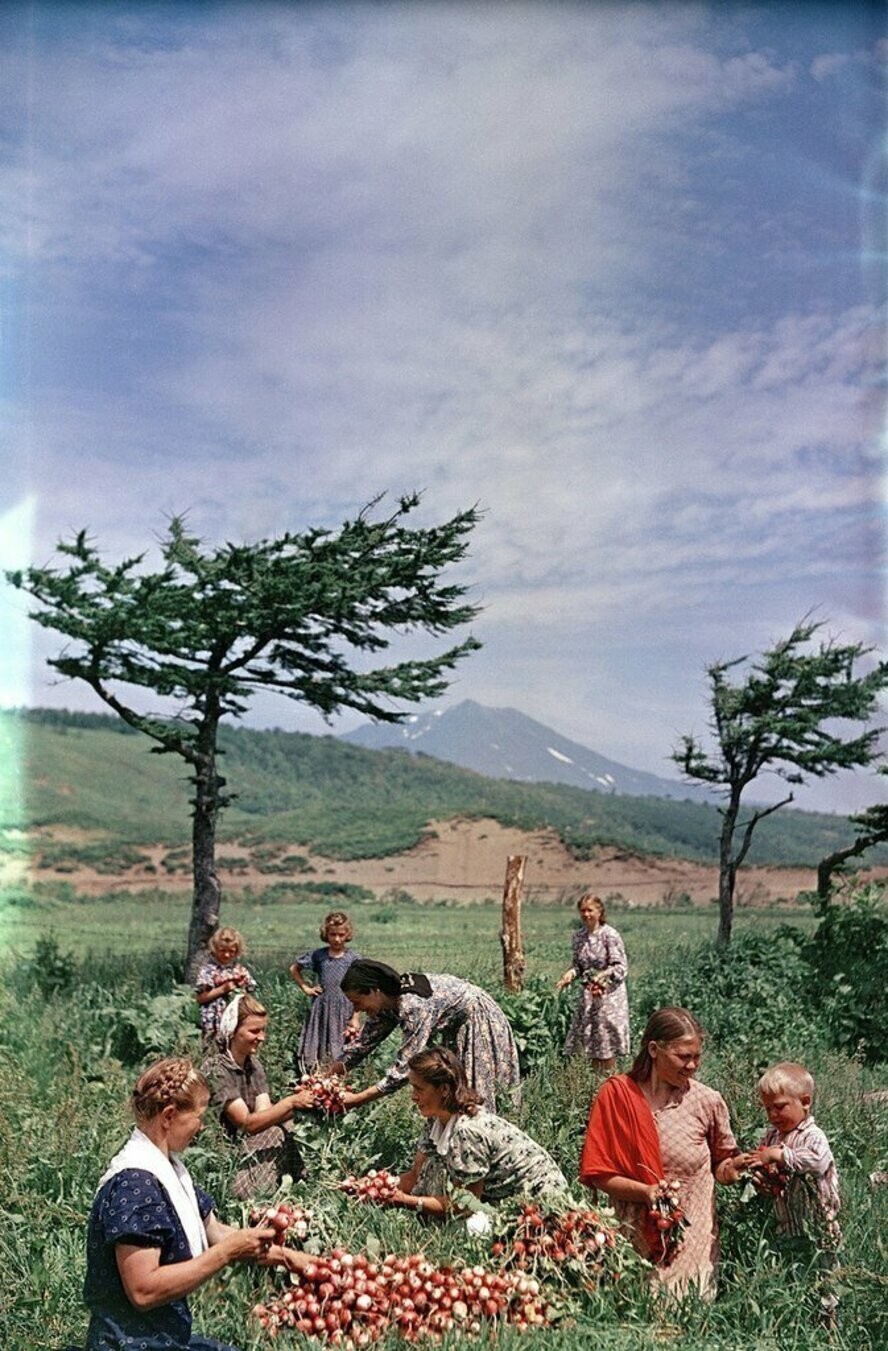 Интересные фотографии времен СССР