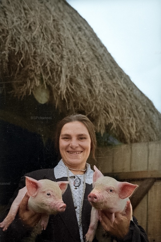 Колхозница с поросятами, 1933