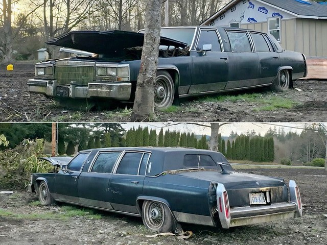 АвтоВсячина