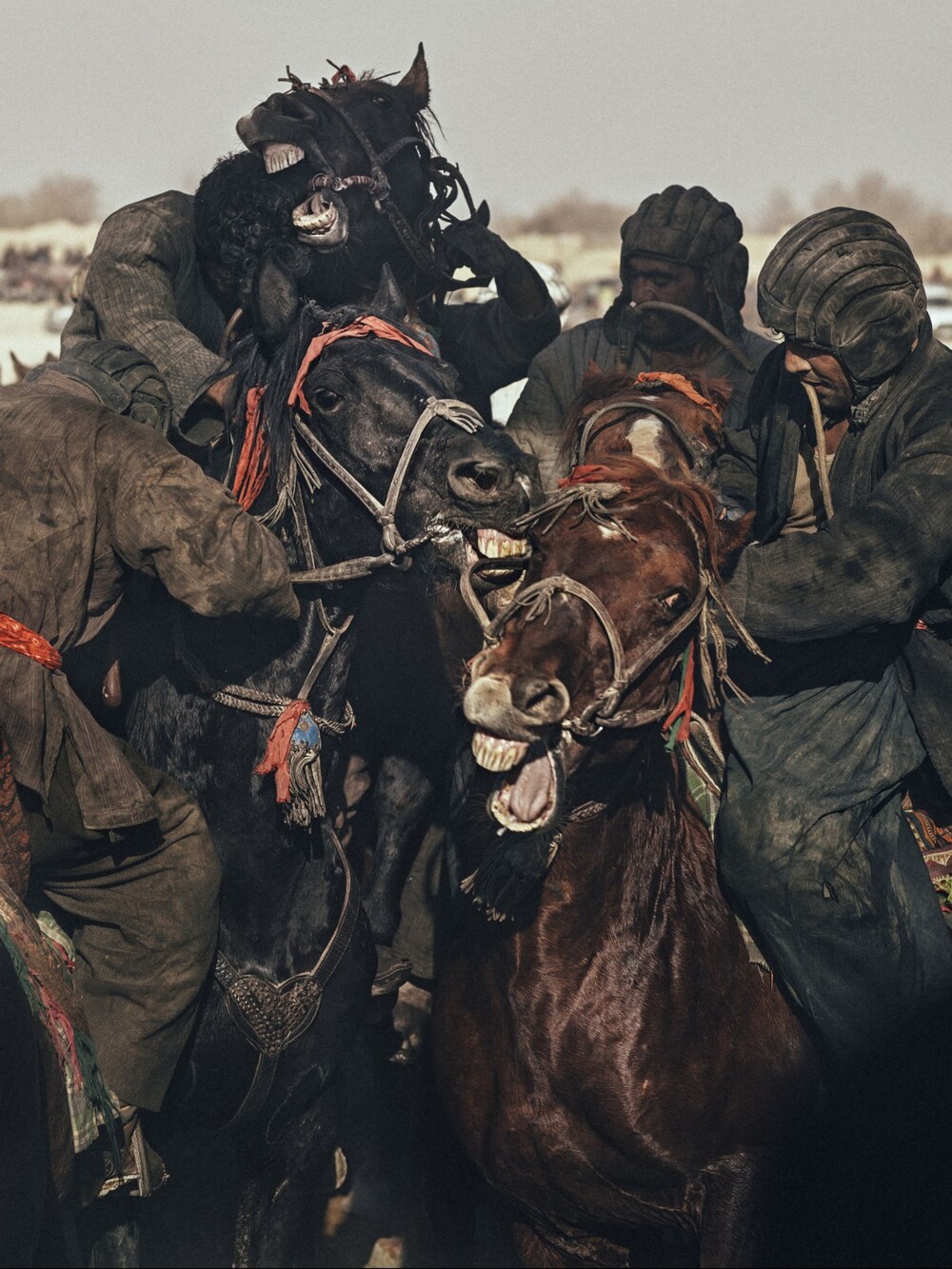 Бузкаши