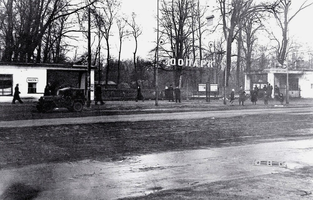Вход в зоопарк на Сталинградском проспекте. 1948–1950 годы.