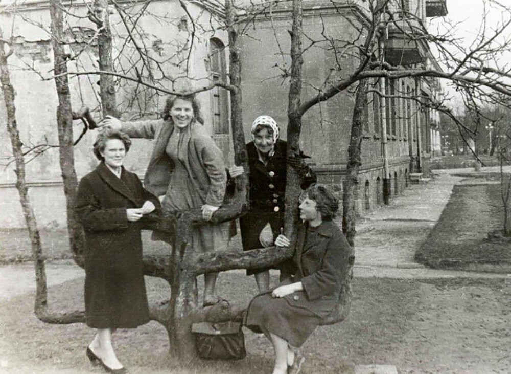 Яблоня на Сталинградском проспекте. 1955 год