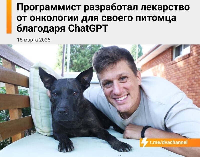 Австралийский айтишник, пытаясь спасти свою собаку, похоже, открыл новый способ лечить рак с помощью ChatGPT